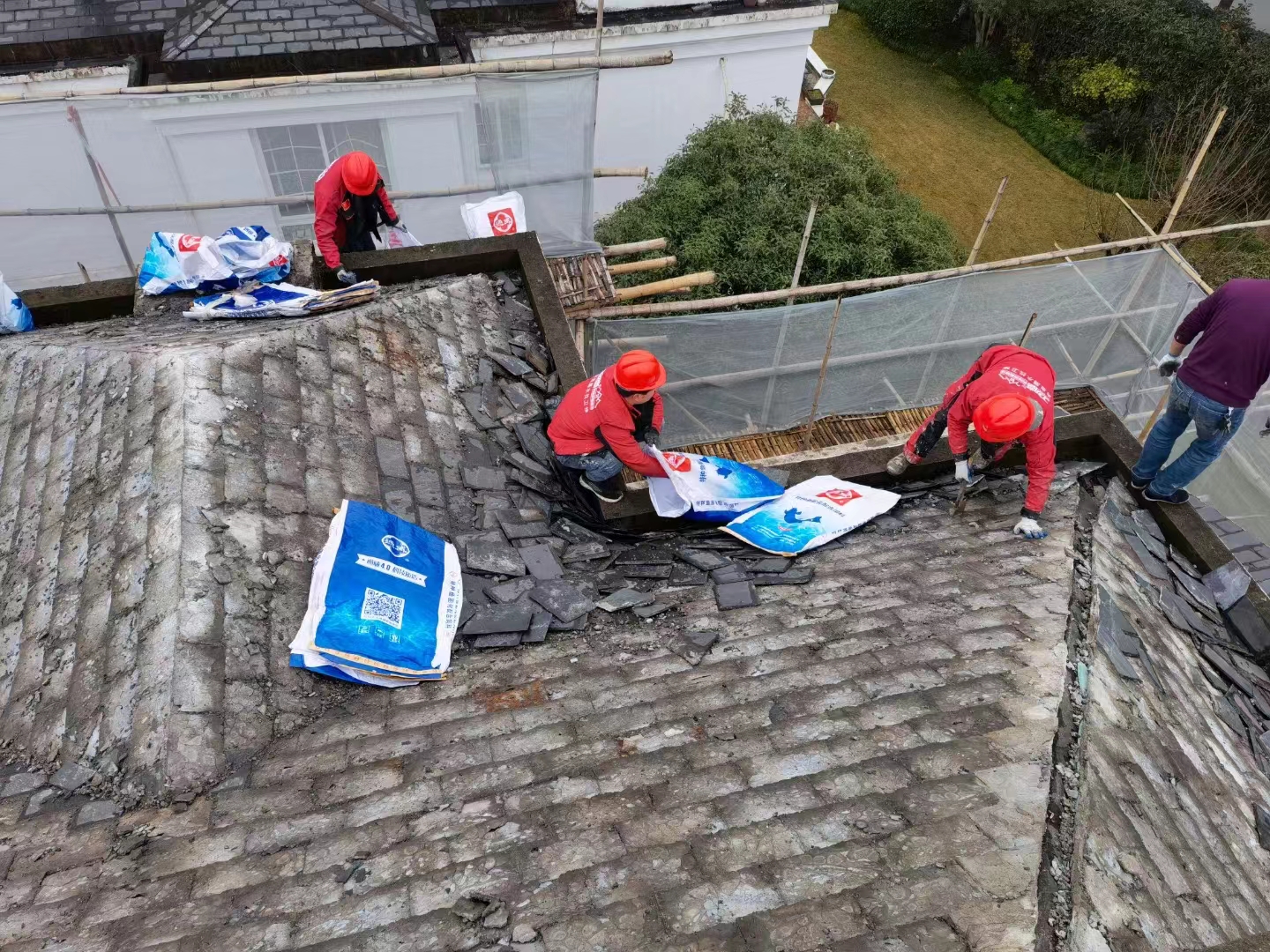 -1227093656_-219768633_1906007773