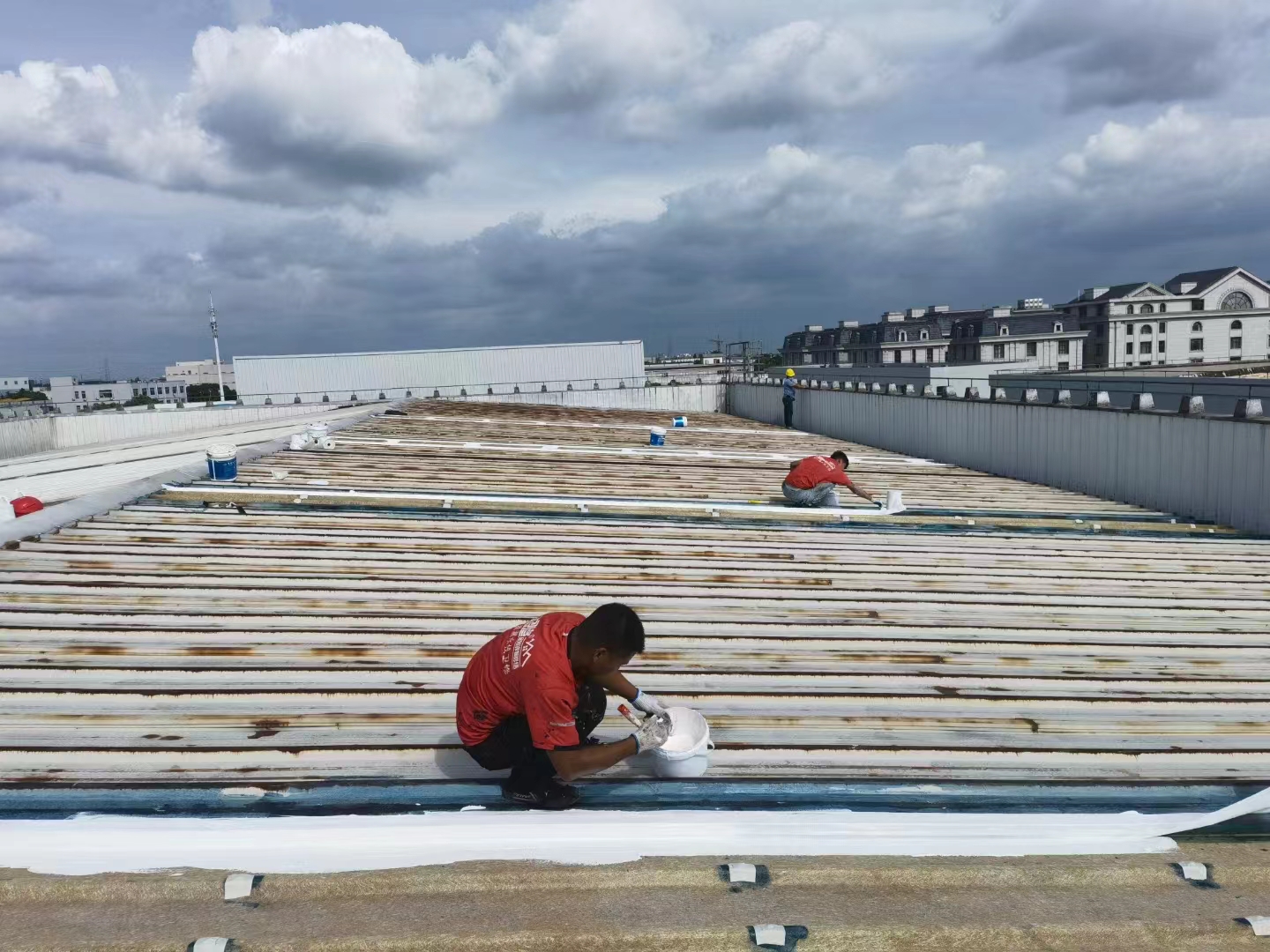 44529397_-1313292802_884790384