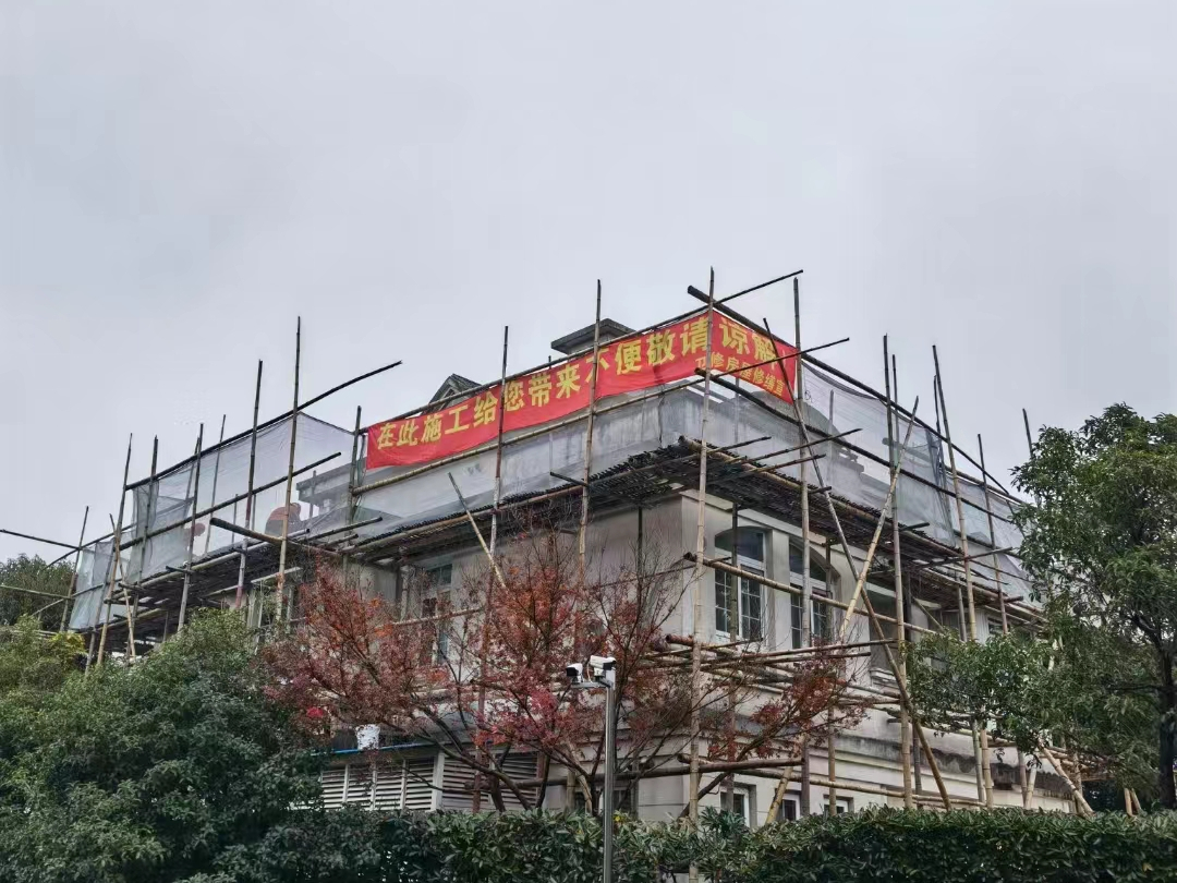 1146725853_1330106881_-2145874345