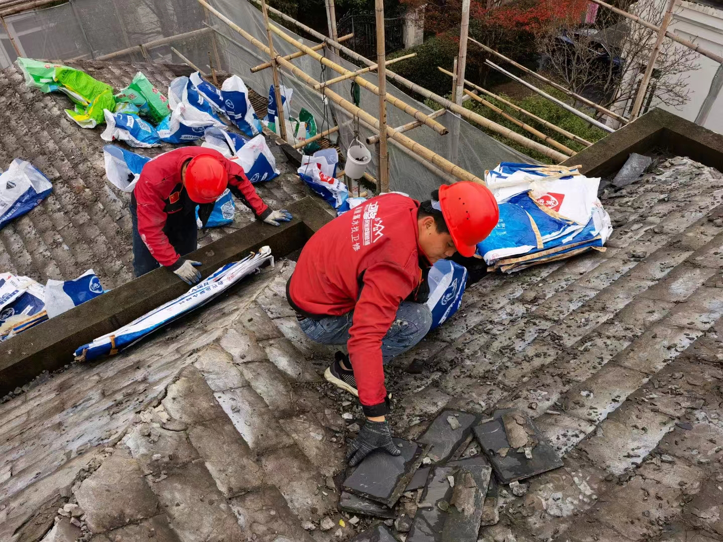 1126318533_1772888891_-1163832765