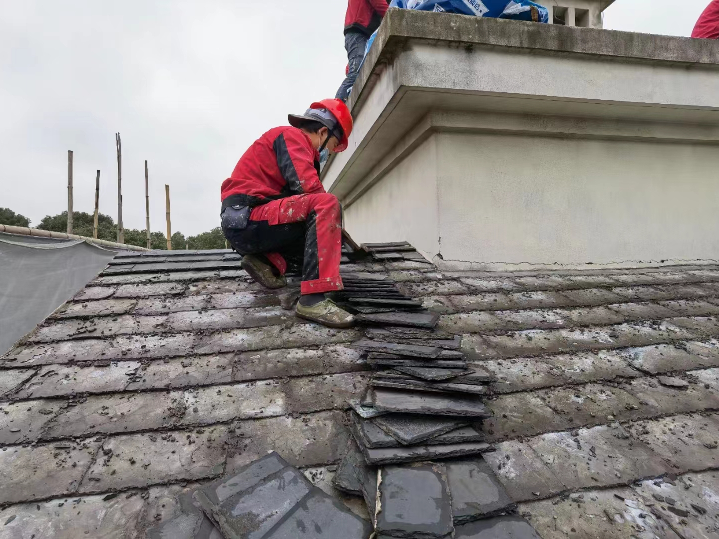 -124742626_1632369375_508799368